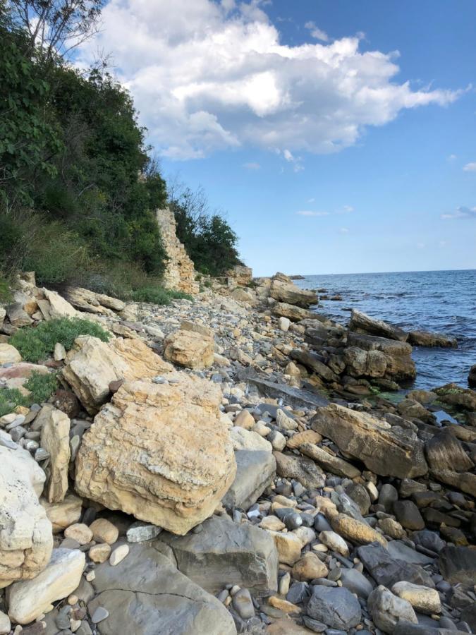 Coral Beach Корал Бийч Свети-Влас Экстерьер фото